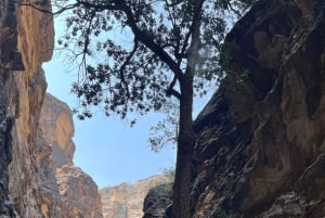 Wadi Lajab Canyon Hiking Tour