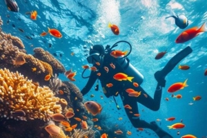 Yanbu: Stranddykking med instruktør