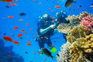 Yanbu: Stranddykking med instruktør