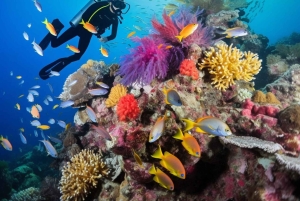 Yanbu: Stranddykking med instruktør