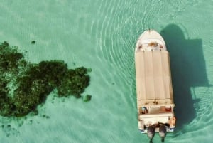 Yanbu: tour in barca all'isola di Buraydi
