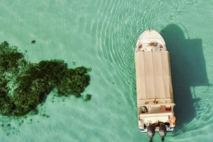 Yanbu: Passeio de barco pela Ilha Buraydi