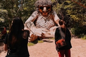 Descubrimiento de la isla de Bainbridge y tour del vino