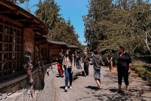 Descubrimiento de la isla de Bainbridge y tour del vino