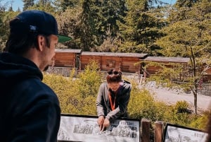 Descubrimiento de la isla de Bainbridge y tour del vino