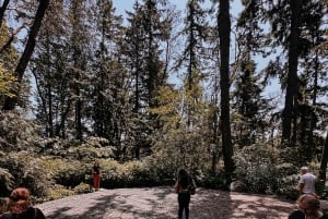 Descubrimiento de la isla de Bainbridge y tour del vino