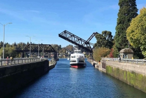 City Sightseeing Seattle: HOHO-bussikierros + Lukkojen risteily