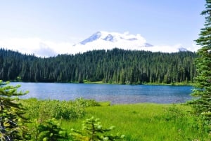 From Seattle: Customized Mount Rainier Tour