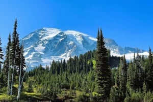 From Seattle: Customized Mount Rainier Tour