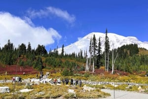 From Seattle: Customized Mount Rainier Tour