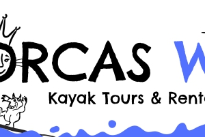 Eastsound: Excursión en kayak para ver la bioluminiscencia en la isla de las Orcas