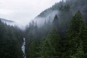 From Seattle: Snoqualmie, Twin Falls and Ancient Forest Trip