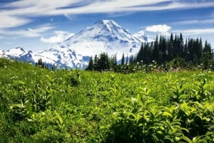 From Seattle - Enchanting Mt Baker & Cascade mountains tours