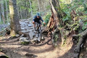 From Seattle: Full Day All-Inclusive Mountain Bike Tour