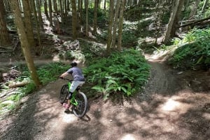 From Seattle: Full Day All-Inclusive Mountain Bike Tour