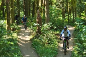 From Seattle: Full Day All-Inclusive Mountain Bike Tour