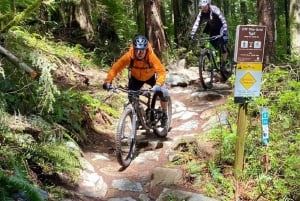 From Seattle: Full Day All-Inclusive Mountain Bike Tour