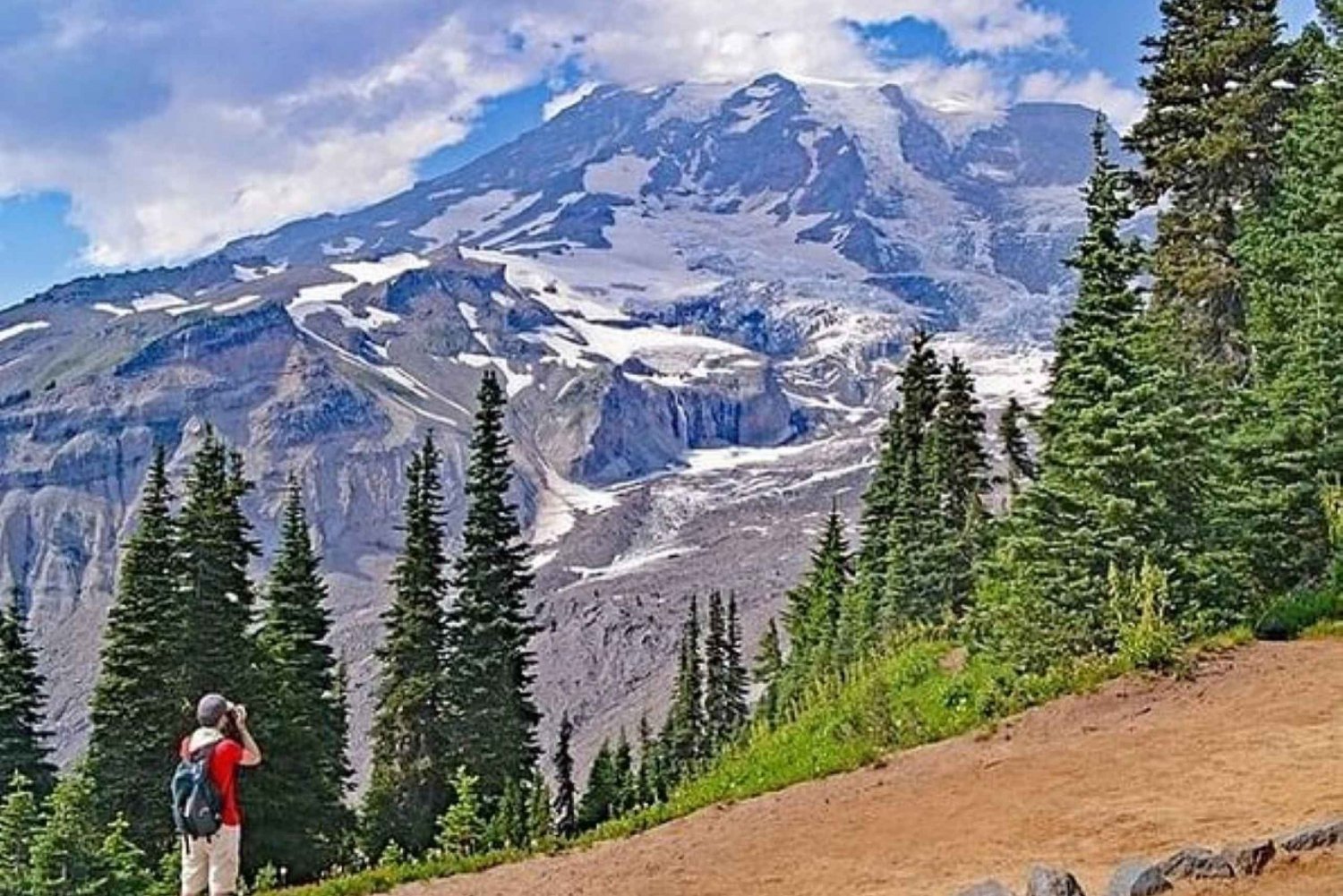 From Seattle: Full-Day Mt Rainier National Park Tour