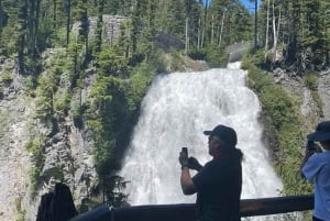 From Seattle: Full-Day Mt Rainier National Park Tour