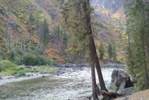 From Seattle: Leavenworth Bavarian Alpine Village Day Trip