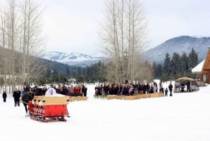 From Seattle: Leavenworth Full Day Tour