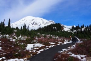 From Seattle: Mount Rainier National Park Guided Tour