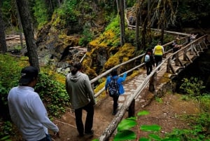 From Seattle: Mount Rainier National Park Guided Tour