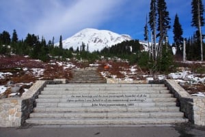 From Seattle: Mount Rainier National Park Guided Tour