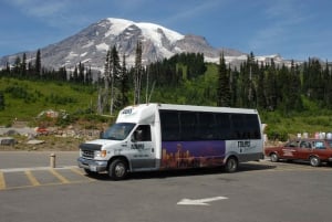 From Seattle: Mount Rainier National Park Guided Tour