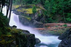 From Seattle: Mount Rainier National Park Guided Tour