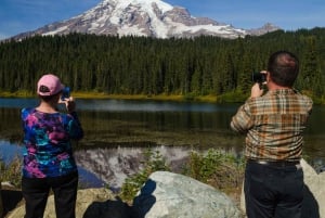 From Seattle: Mount Rainier National Park Guided Tour