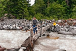 From Seattle: Mount Rainier National Park Guided Tour