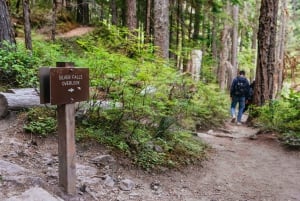 From Seattle: Mount Rainier National Park Guided Tour