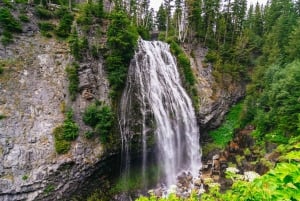 From Seattle: Mount Rainier National Park Guided Tour