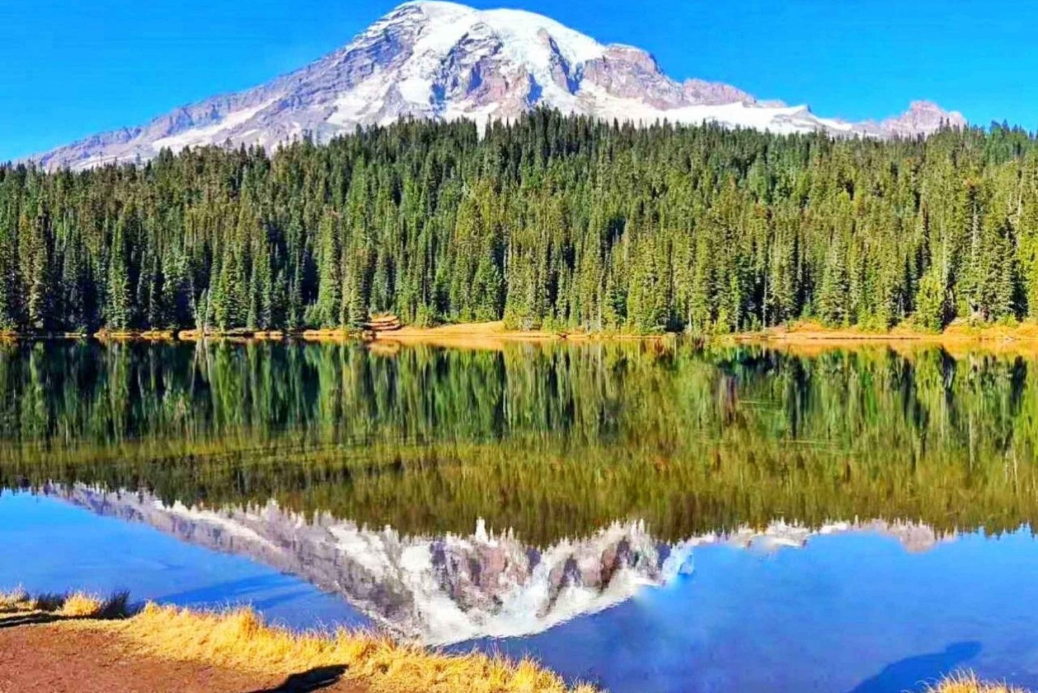 From Seattle: Mount Rainier National Park 1-Day Tour