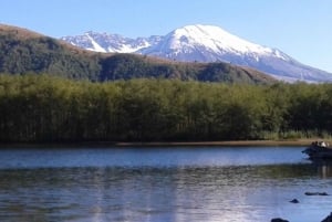 From Seattle: Mount Saint Helens Monument Private Day Trip