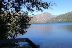 From Seattle: Mount Saint Helens Monument Private Day Trip