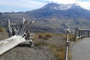 From Seattle: Mount Saint Helens Monument Private Day Trip