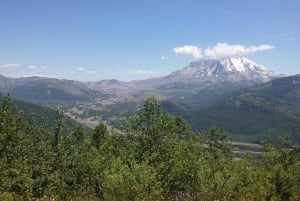 From Seattle: Mount Saint Helens Monument Private Day Trip