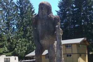 From Seattle: Mount Saint Helens Monument Private Day Trip