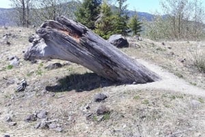 From Seattle: Mount Saint Helens Monument Private Day Trip