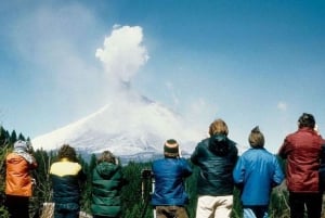 From Seattle: Mt Saint Helen Tour