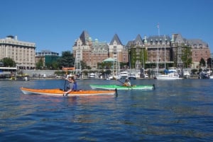 Из Сиэтла: скоростной паром в одну сторону до Виктории, Британская Колумбия