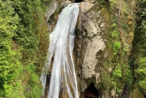 From Seattle: Pacific Northwest Waterfalls & Hiking Tour