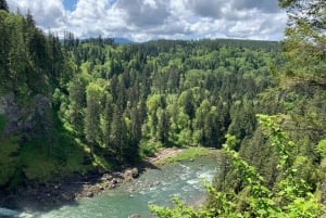 From Seattle: Pacific Northwest Waterfalls & Hiking Tour