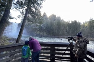 From Seattle: Snoqualmie Falls and Wineries Tour w/ Transfer