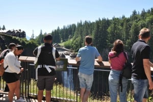 From Seattle: Snoqualmie Falls and Wineries Tour w/ Transfer