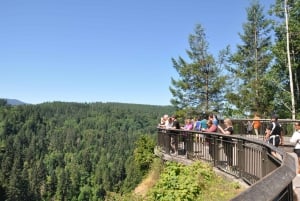 From Seattle: Snoqualmie Falls and Wineries Tour w/ Transfer