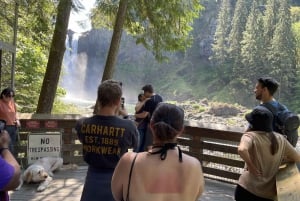 From Seattle: Snoqualmie Falls and Wineries Tour w/ Transfer