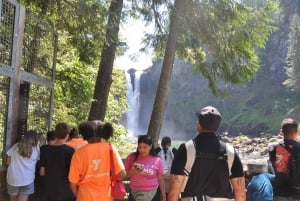 From Seattle: Snoqualmie Falls and Wineries Tour w/ Transfer